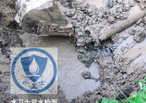 崇明区水管漏水检测公司5